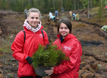 «Посади лес»: волонтеры высадили более 400 тысяч деревьев по всей России